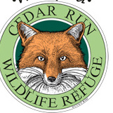 Summer Solstice Night Hike and Campfire - logo